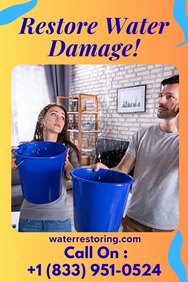 water restoration Elite Flood Damage Experts Hightstown