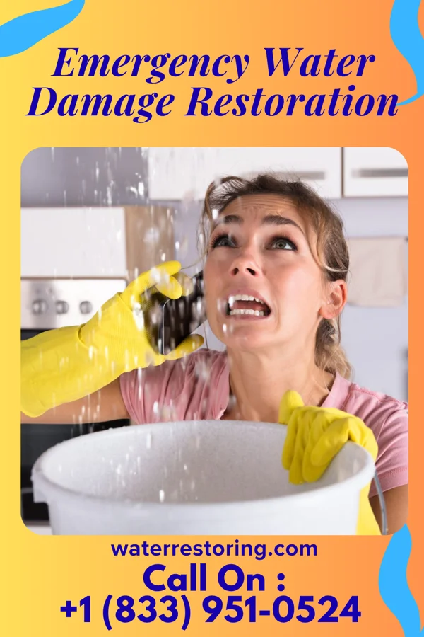 Emergency Water Damage Restoration in Hightstown, NJ
