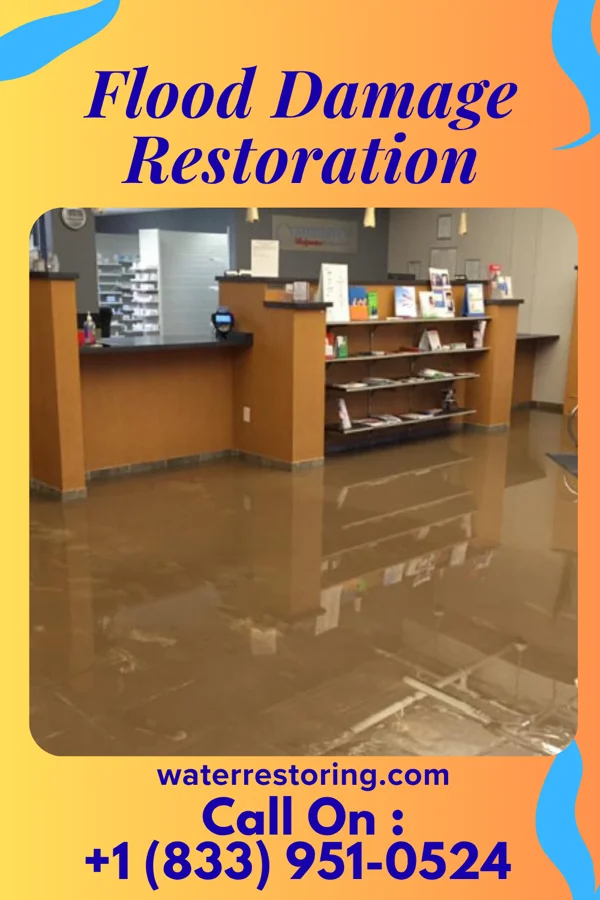 Flood Damage Restoration in Hightstown, NJ