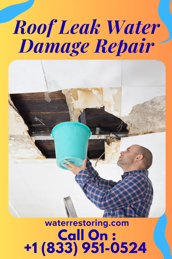 Roof Leak Water Damage Repair in Hightstown, NJ